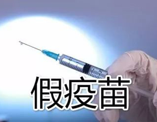 非洲豬瘟有疫苗了？假的！